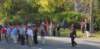 az_8005_small.jpg