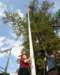 az3_8223_small.jpg