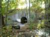 tunnelfromthehollowtotheathleticfieldview2_small.jpg